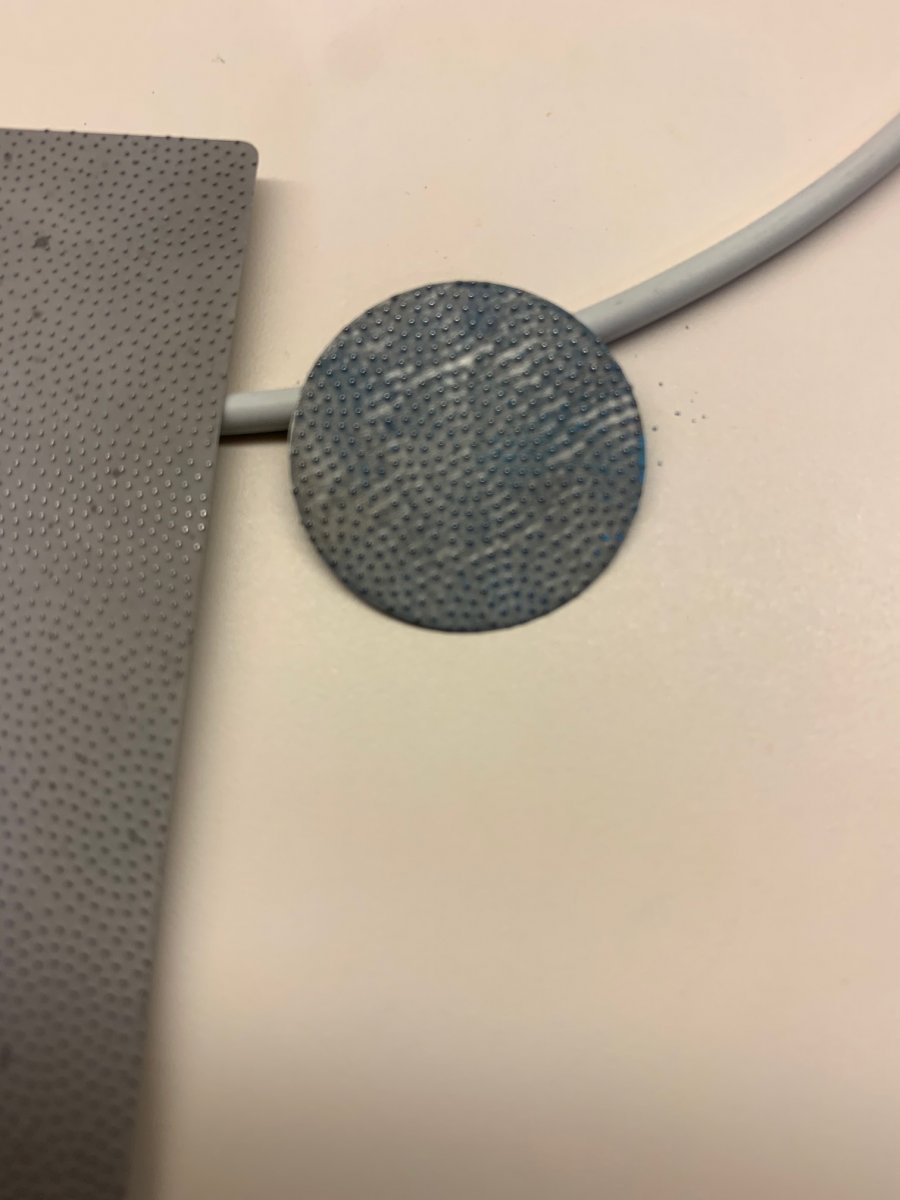 shark skin 3.jpg