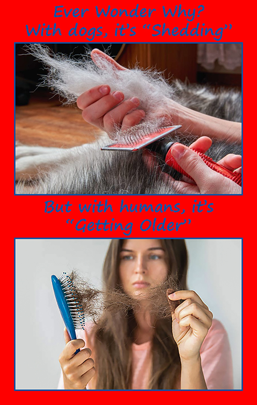 Shedding.jpg