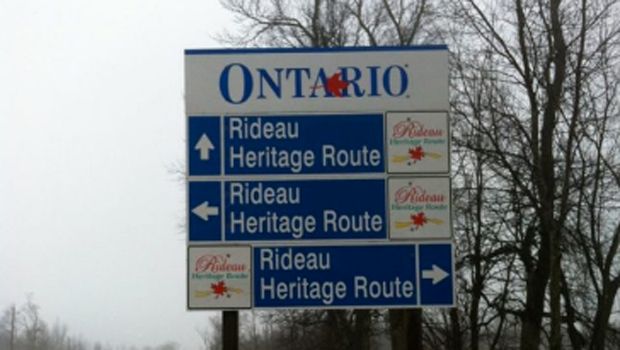 SignsGallery_2 (1).jpg