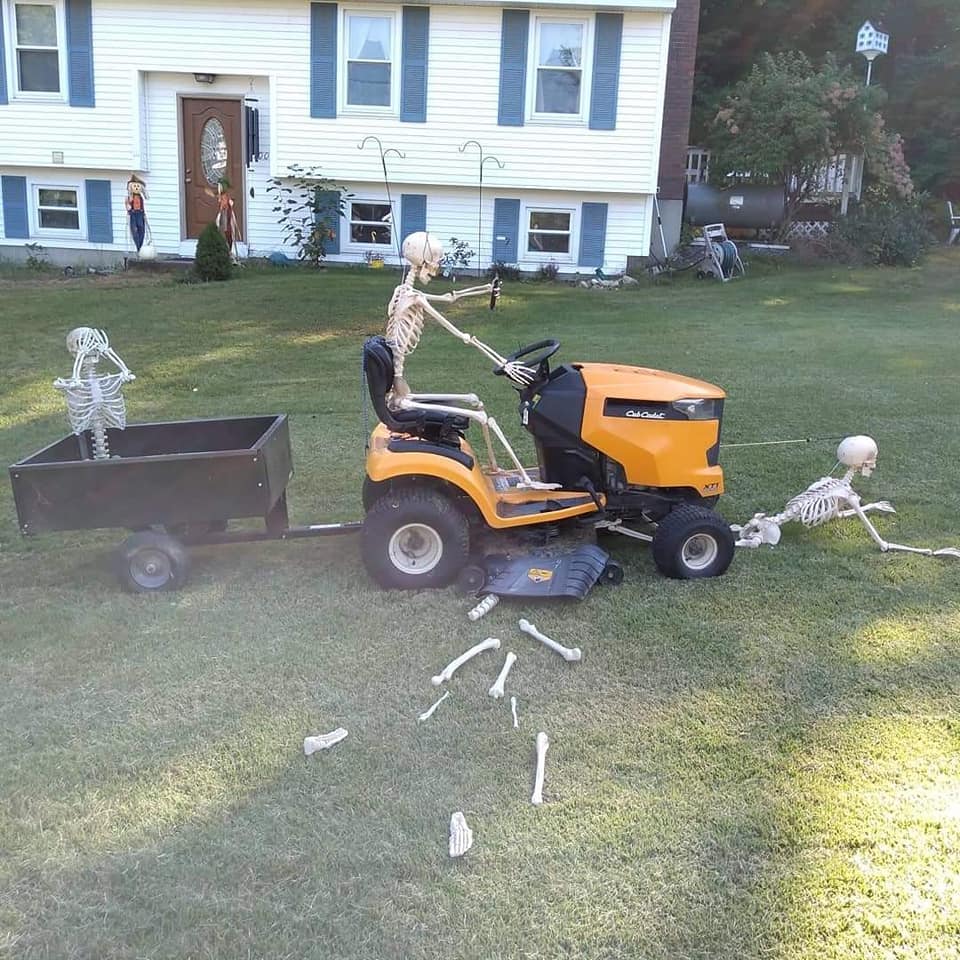 skeleton.jpg