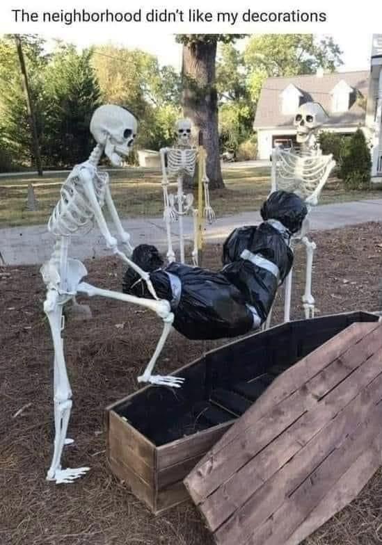 skeletons.jpeg