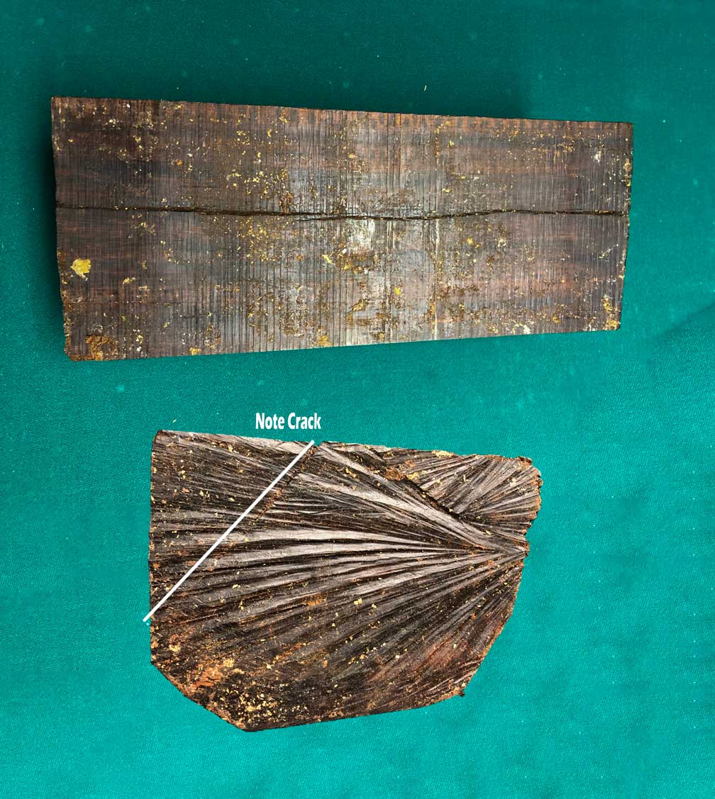 Snakewood-crack.jpg