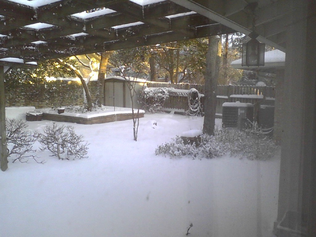 snow feb 2021 6.jpg