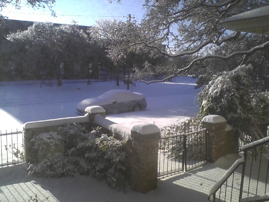 snow feb 2021 7.jpg