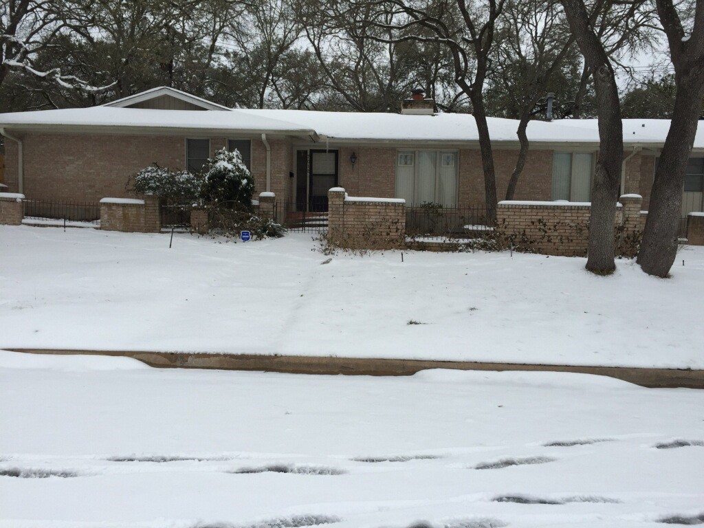 snow feb 2021 9.jpg