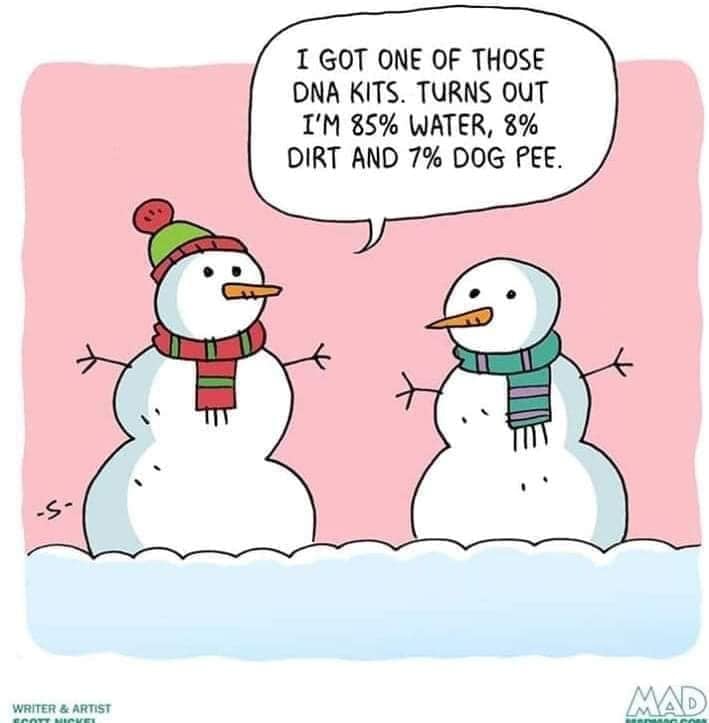 snow man xmas funny.jpg