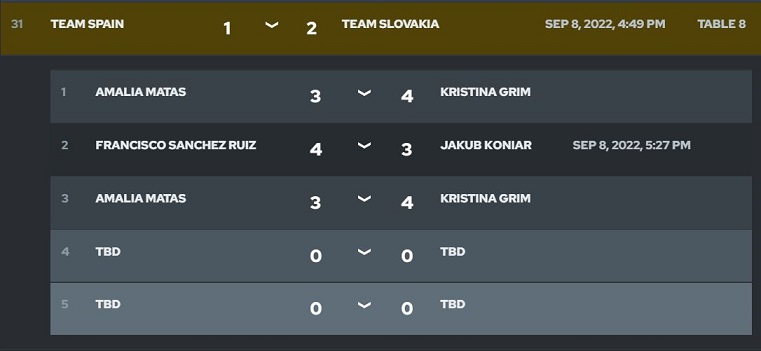 spain slovakia.JPG