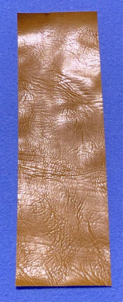 SpBulTaupe2.JPG