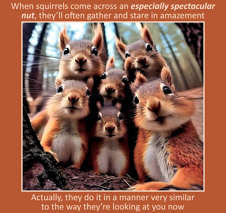 Spectacular Nut.jpg