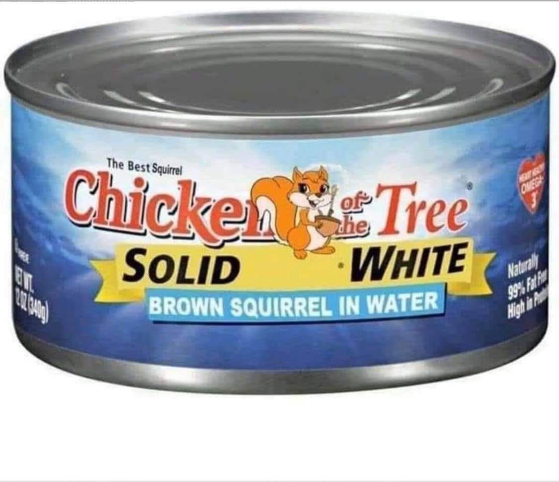 squirrel.jpg