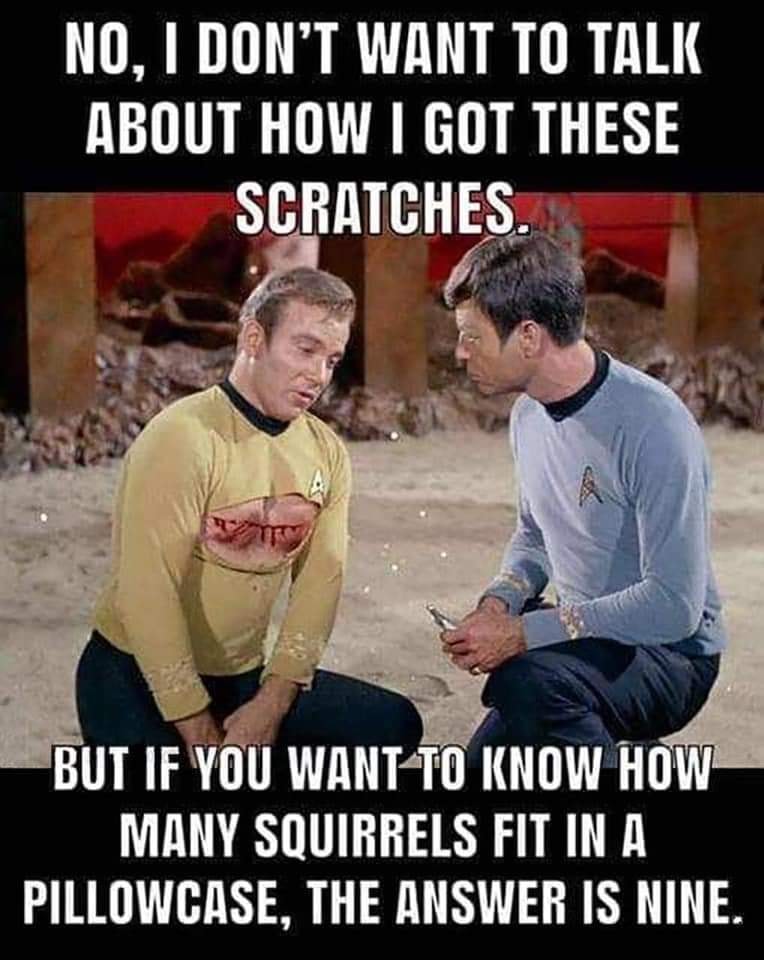 squirrels.jpg