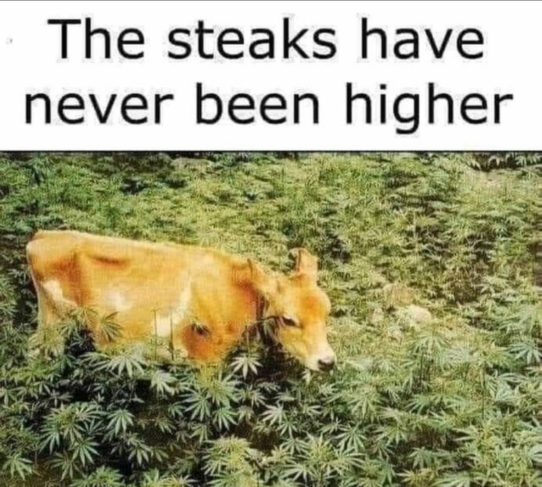 steaks.jpg