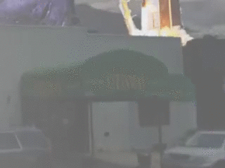 steinway00.gif