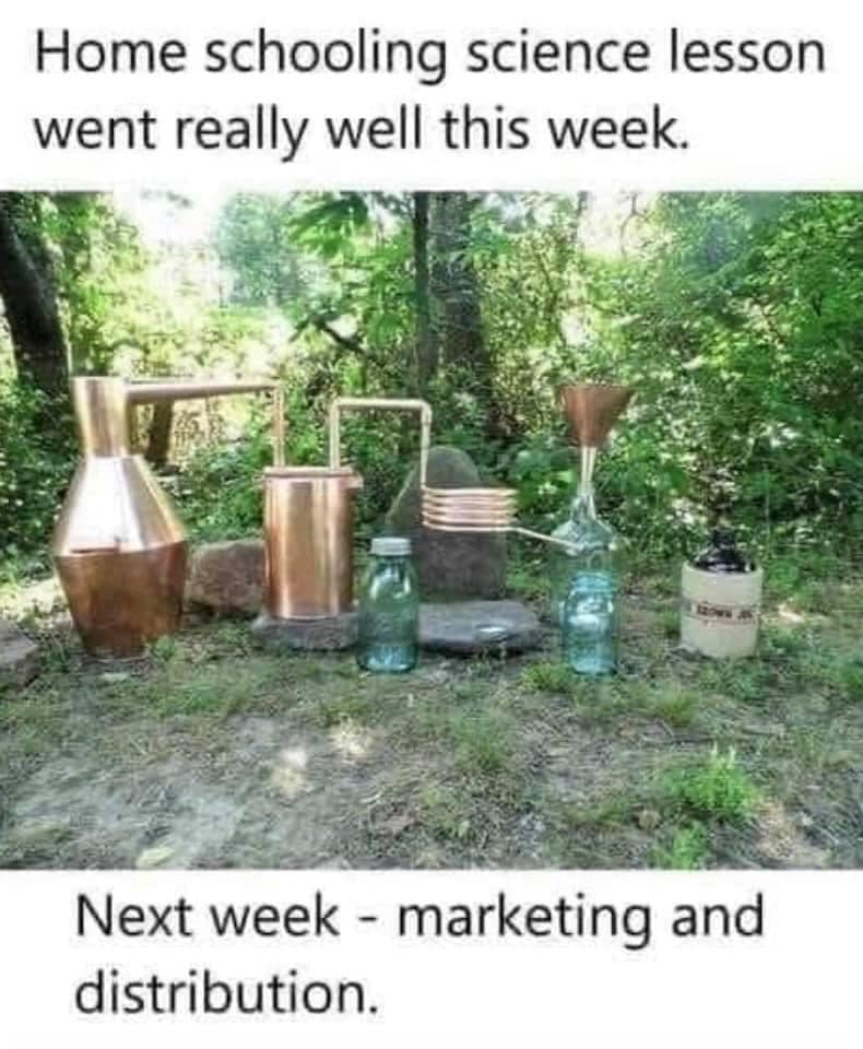 still.jpg
