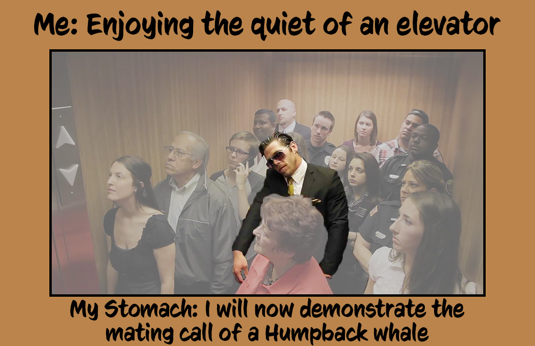 Stomach in Elevator.jpg