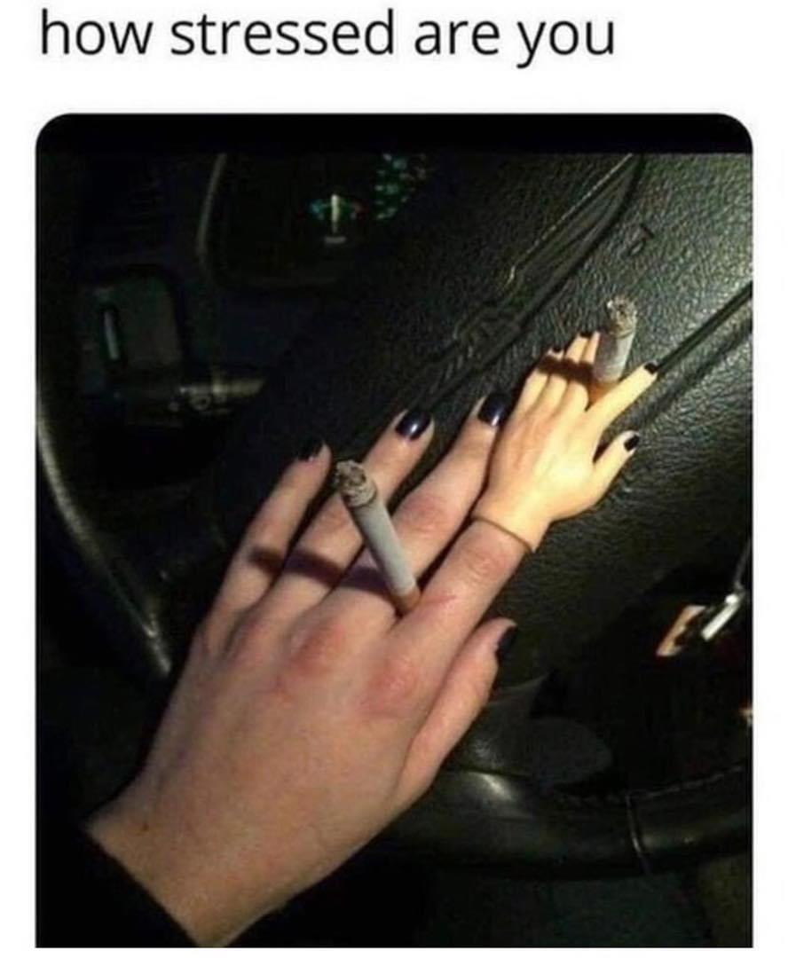 stressed.jpeg