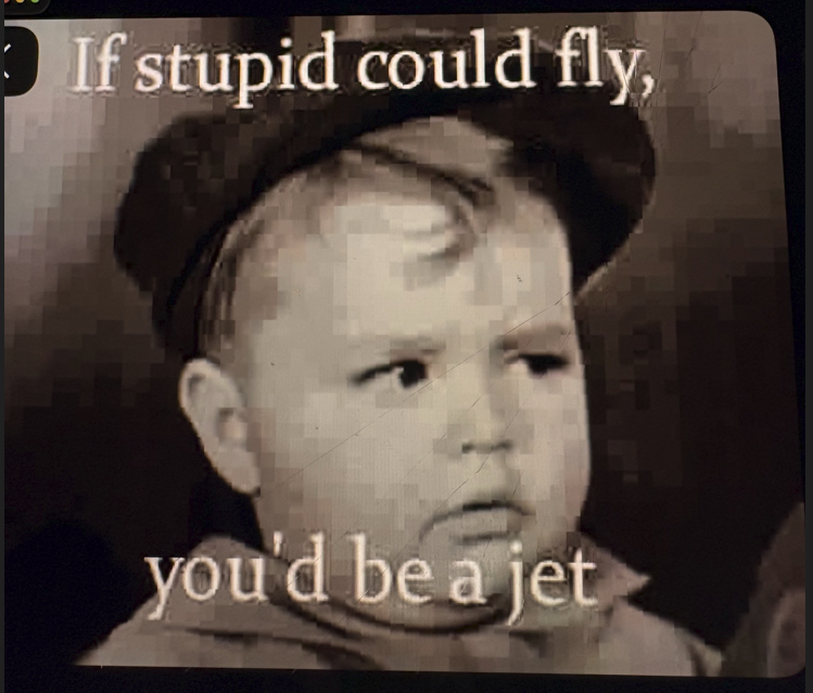 stupid 2.png
