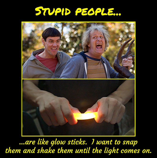 Stupid People Sm.jpg