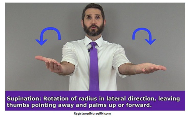 supination.png