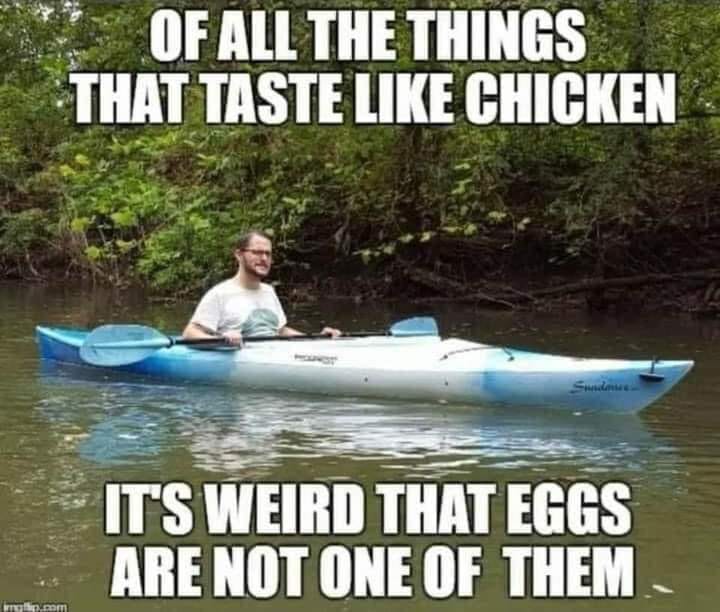 taste like chicken.jpg