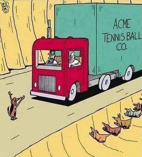 tennis balls.jpg
