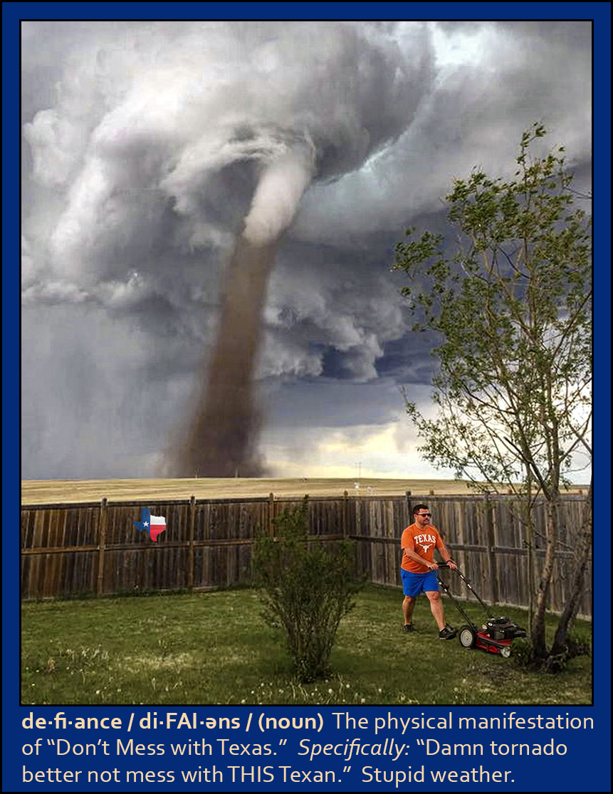 Texas Lawnmower Man.jpg