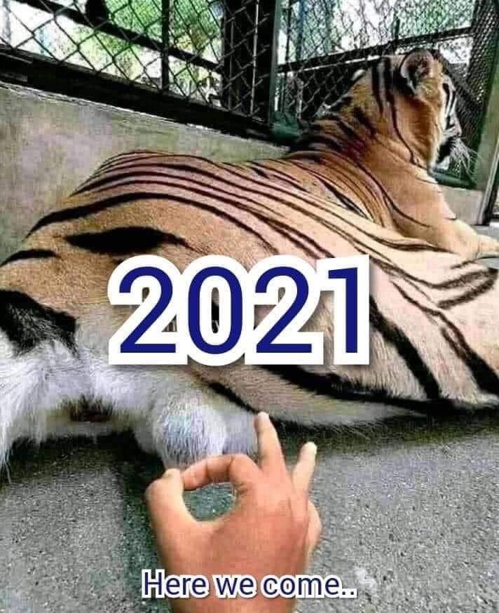 tiger.jpg