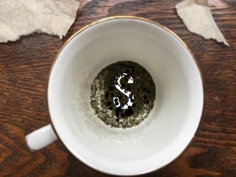 tl5 1.jpg