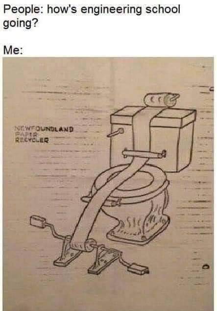 toilet paper.jpg