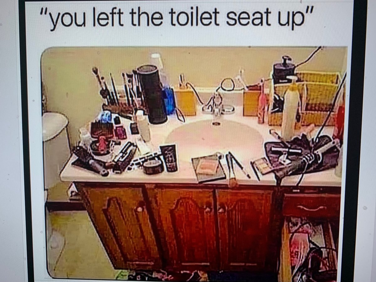 toilet seat up.jpg