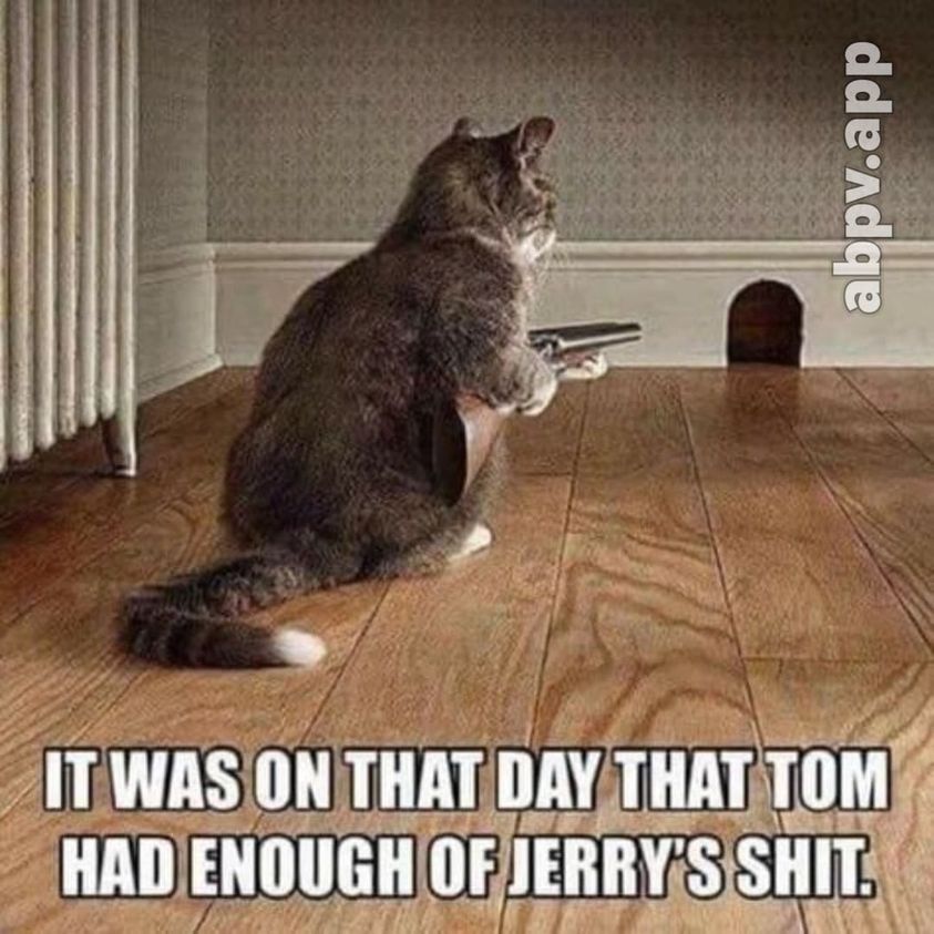 Tom n Jerry.jpg