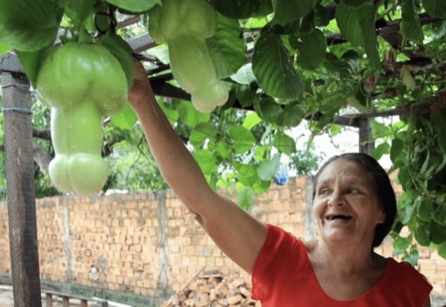 tomatoe dildo.jpg