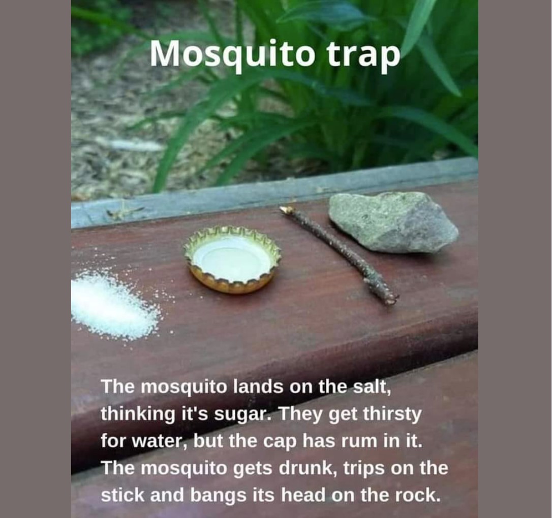 trap.jpg