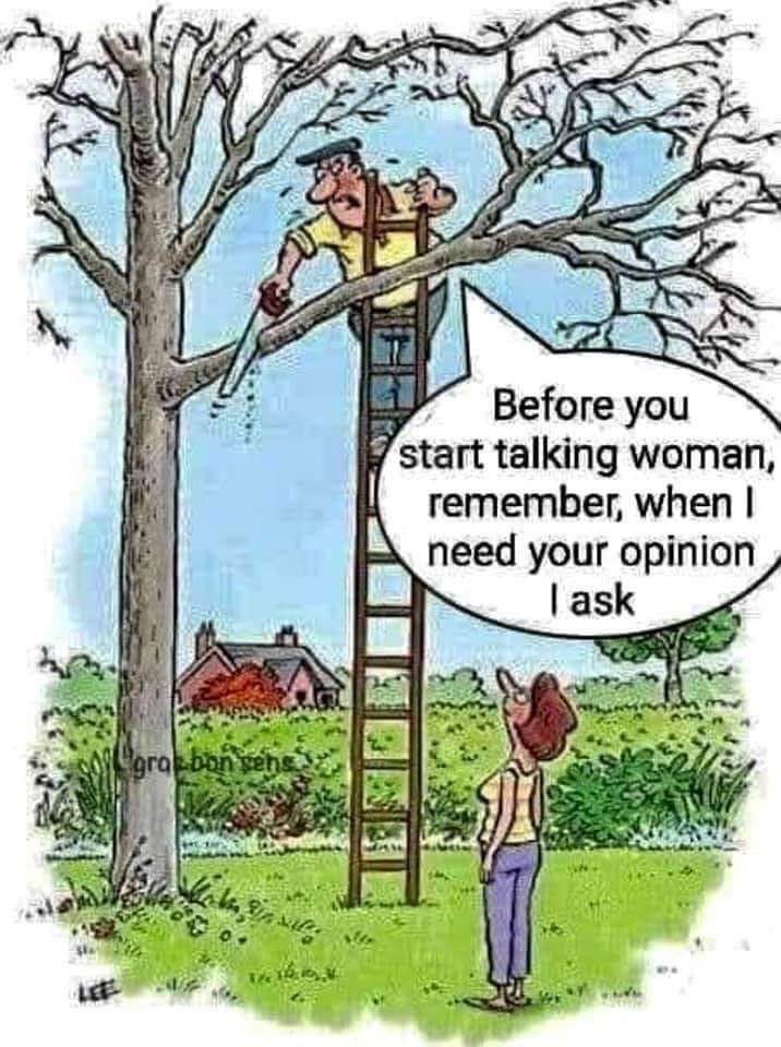 Tree trimming funny.jpg