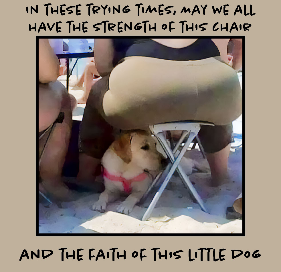 Trying Times.jpg