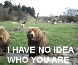 tumblr_mkmwoqEP4Y1rjhbn2o1_250.gif