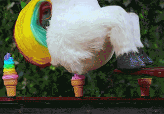 tumblr_o1b8f6MFAX1udh5n8o1_400-1849379362.gif
