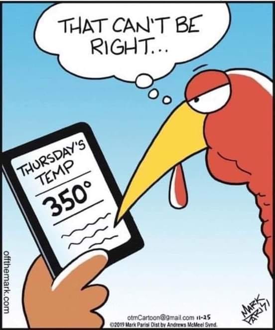 turkey 2.jpg