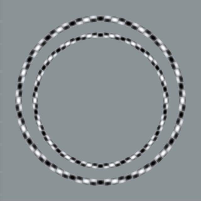 two circles.jpg