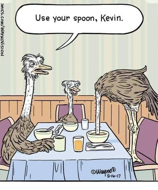 USE YOUR SPOON MEME.png