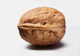 walnut.jpg