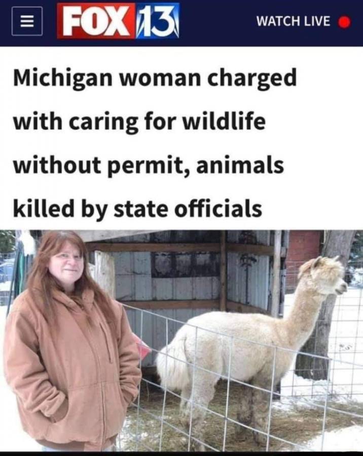 wildlife permit.jpg