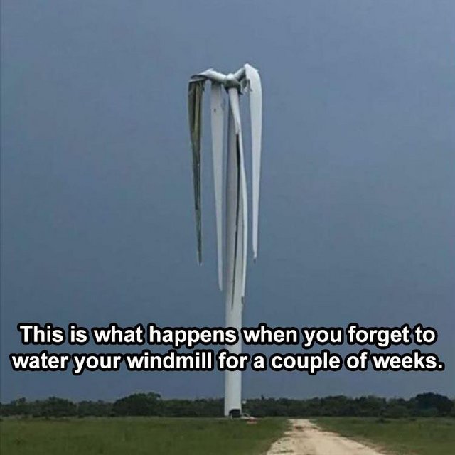 windmill.jpg