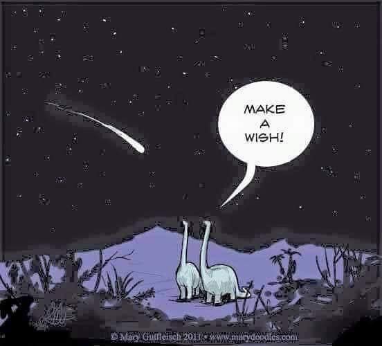 wish.jpg
