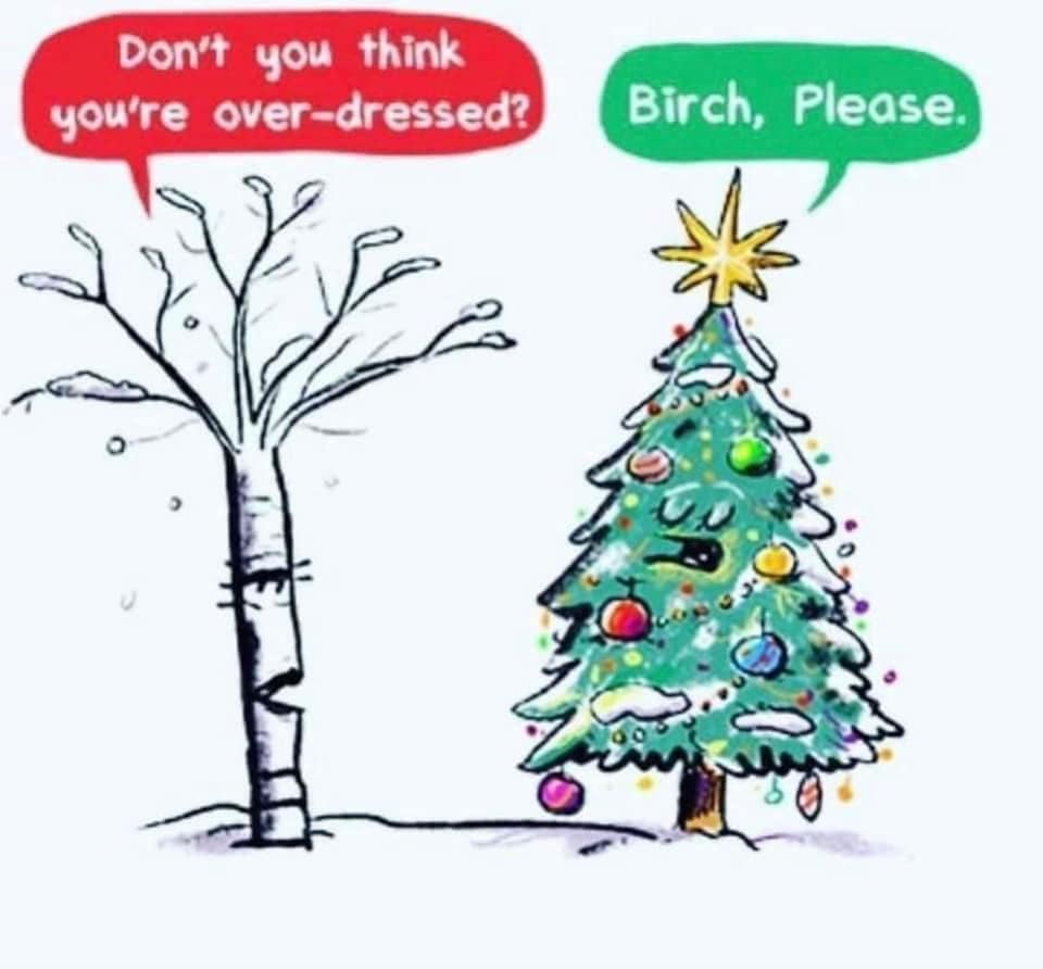 Xmas Birch please.jpg