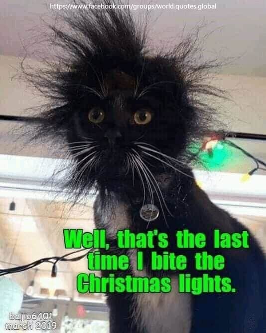 Funny pic/gif thread&hellip; | Page 1845 | AzBilliards Forums