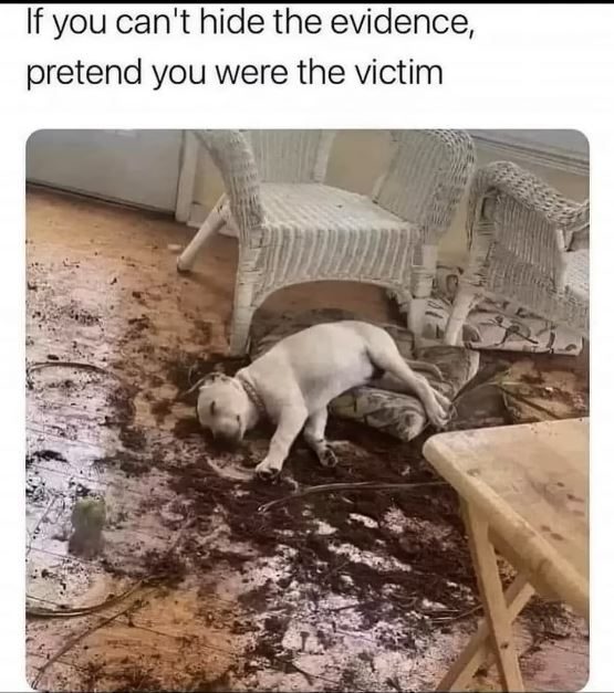 xxxxxxxxxxxxx.JPG