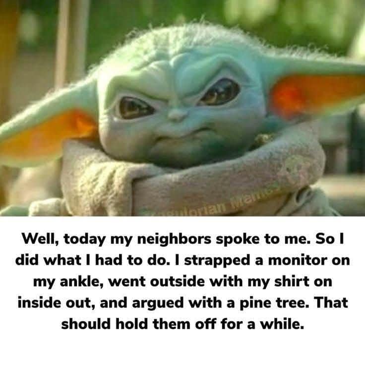 yoda.jpg