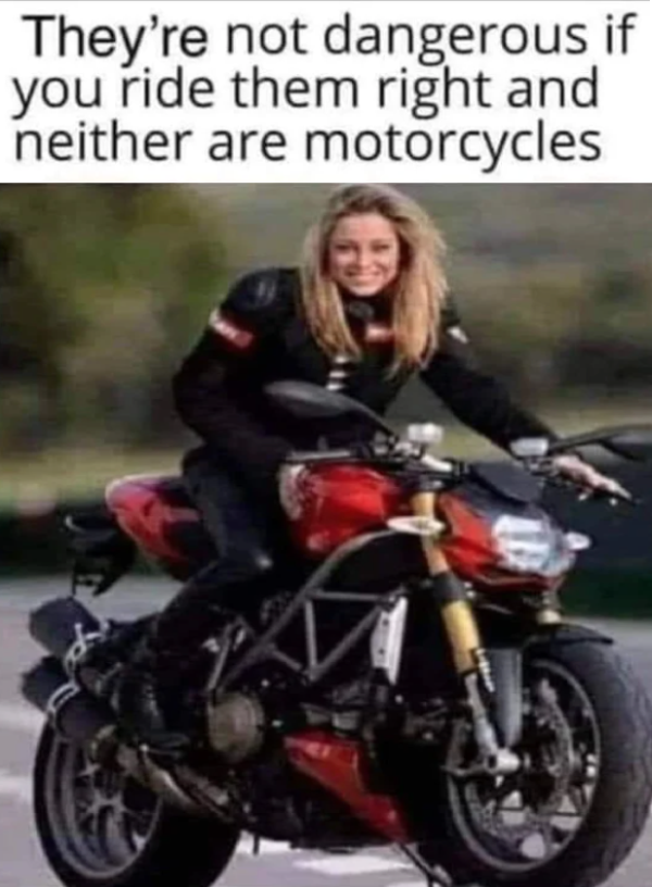 z1-Cheesy_memes-06_28_22-600-0.png