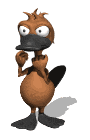 pablo_platypus_prize_fighting.gif